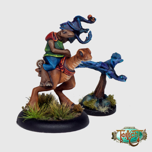 A11 - Herder Falconer (with Hunting Garo)