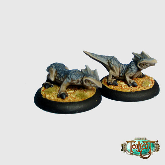 C05 - Graku (2 models)