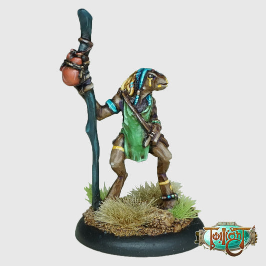 T02 - Casanii Shaman
