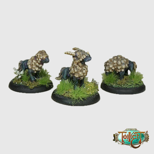 W05 - Vareen (3 models)