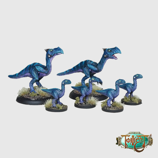W11 - Abrok Family (2 Abrok and 4 Abrok Jenta)